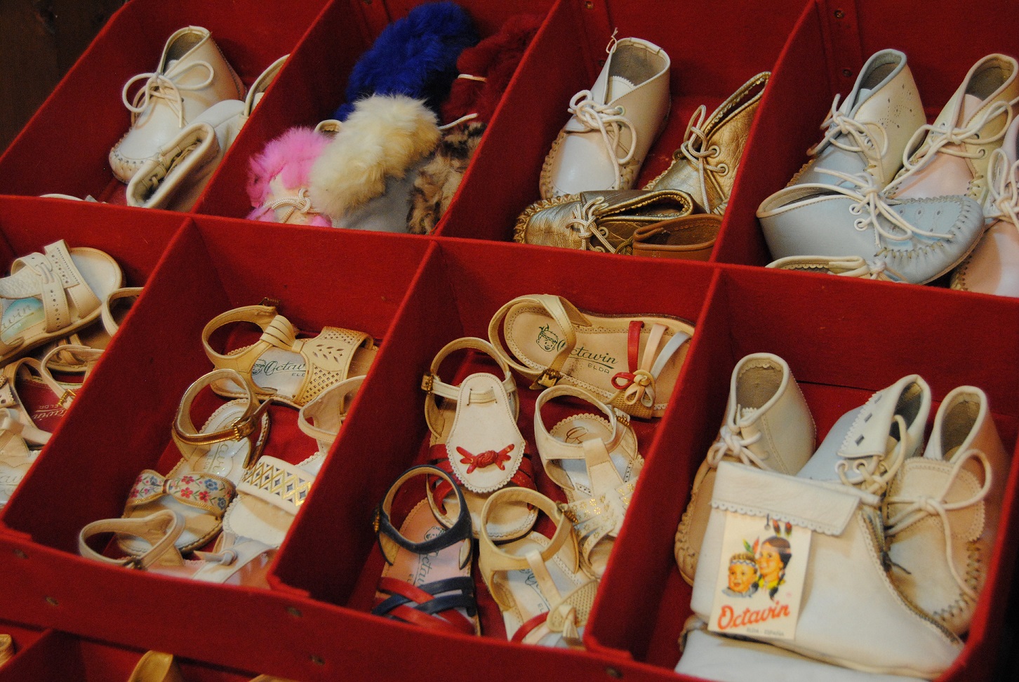 fotos artículo Canelobre 68