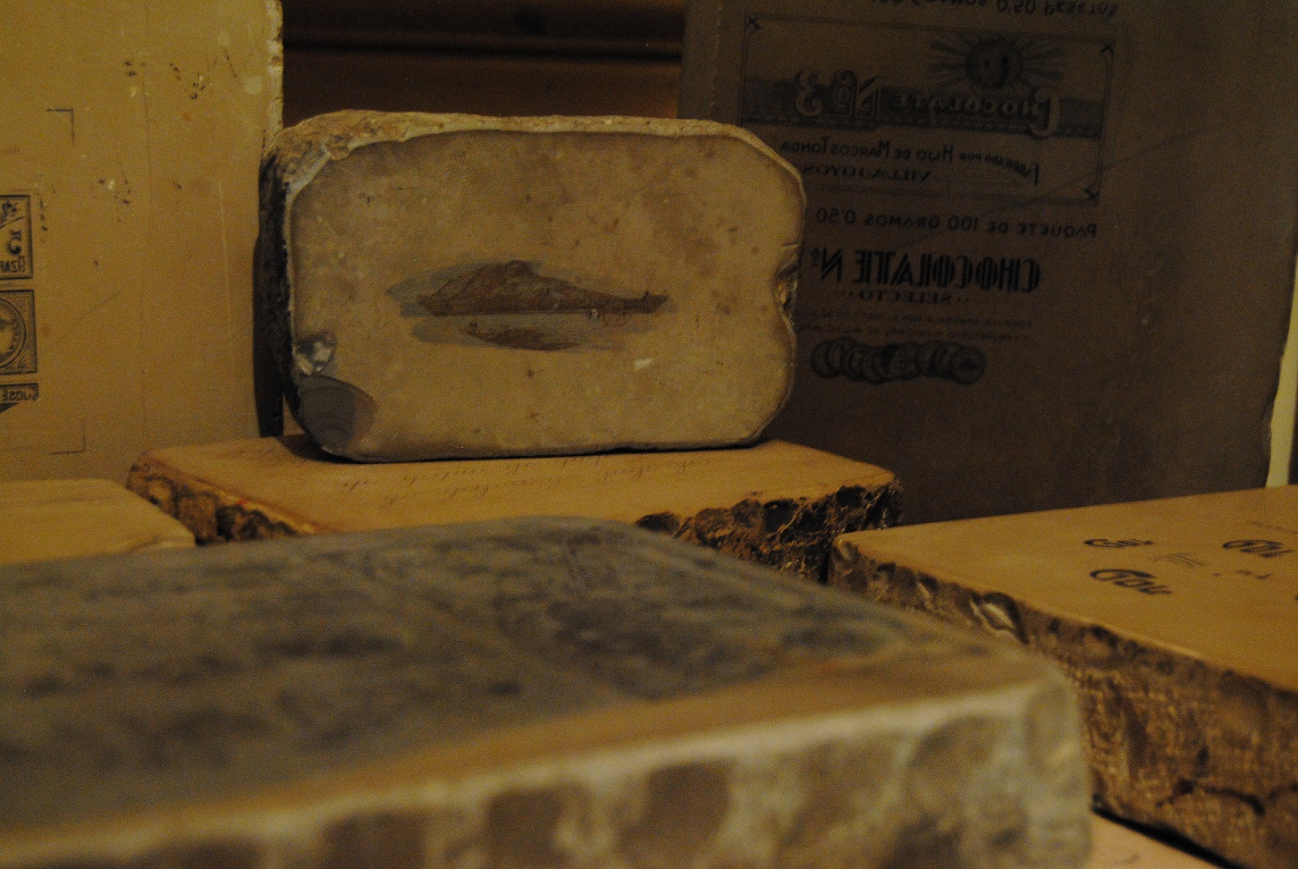 piedraslitográficas_mucoin