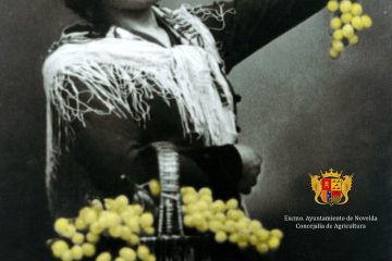 Cesión de la colección en la Exposición "El Raïm" - Mucoin