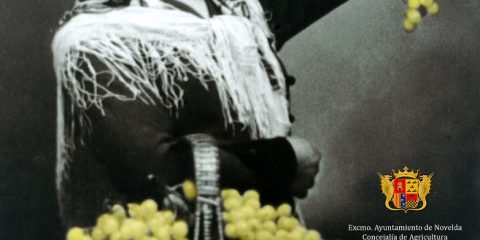 Cesión de la colección en la Exposición "El Raïm" - Mucoin