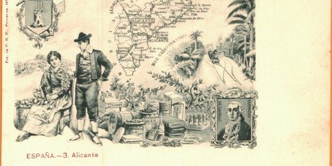 Prácticas en el Mucoin II - MUCOIN