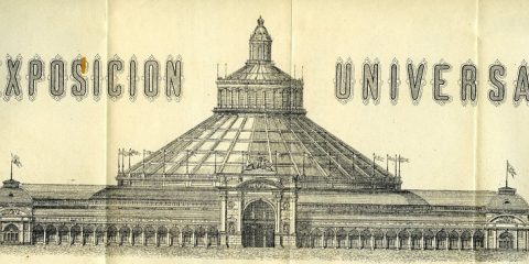 Prácticas en el Mucoin (VIII) - MUCOIN