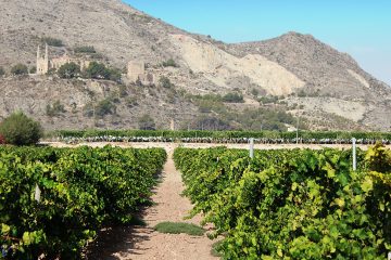 Novelda se suma a la red que fomenta el Turismo Industrial - Mucoin