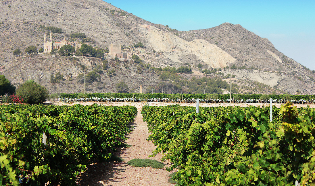 Novelda se suma a la red que fomenta el Turismo Industrial - Mucoin