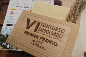 Prácticas en el Mucoin (VII)- MUCOIN