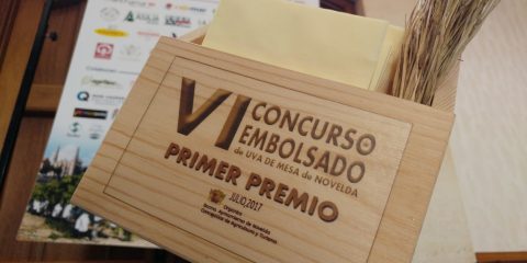 Prácticas en el Mucoin (VII)- MUCOIN